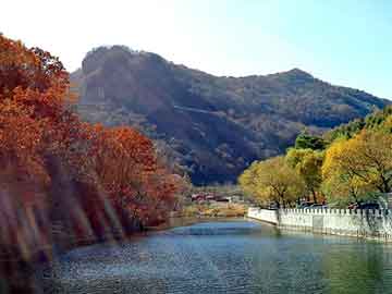 管家婆黑白马报图库，地平线250